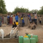 abreuvoir pour les animaux